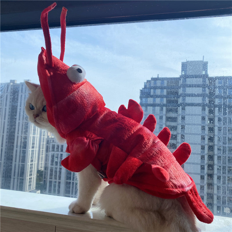 Lobster Costume for Cats & Small Dogs – Halloween & Holiday