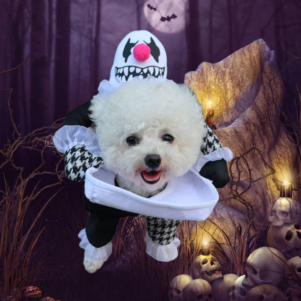 Demon Transformation Halloween Costume for Dogs