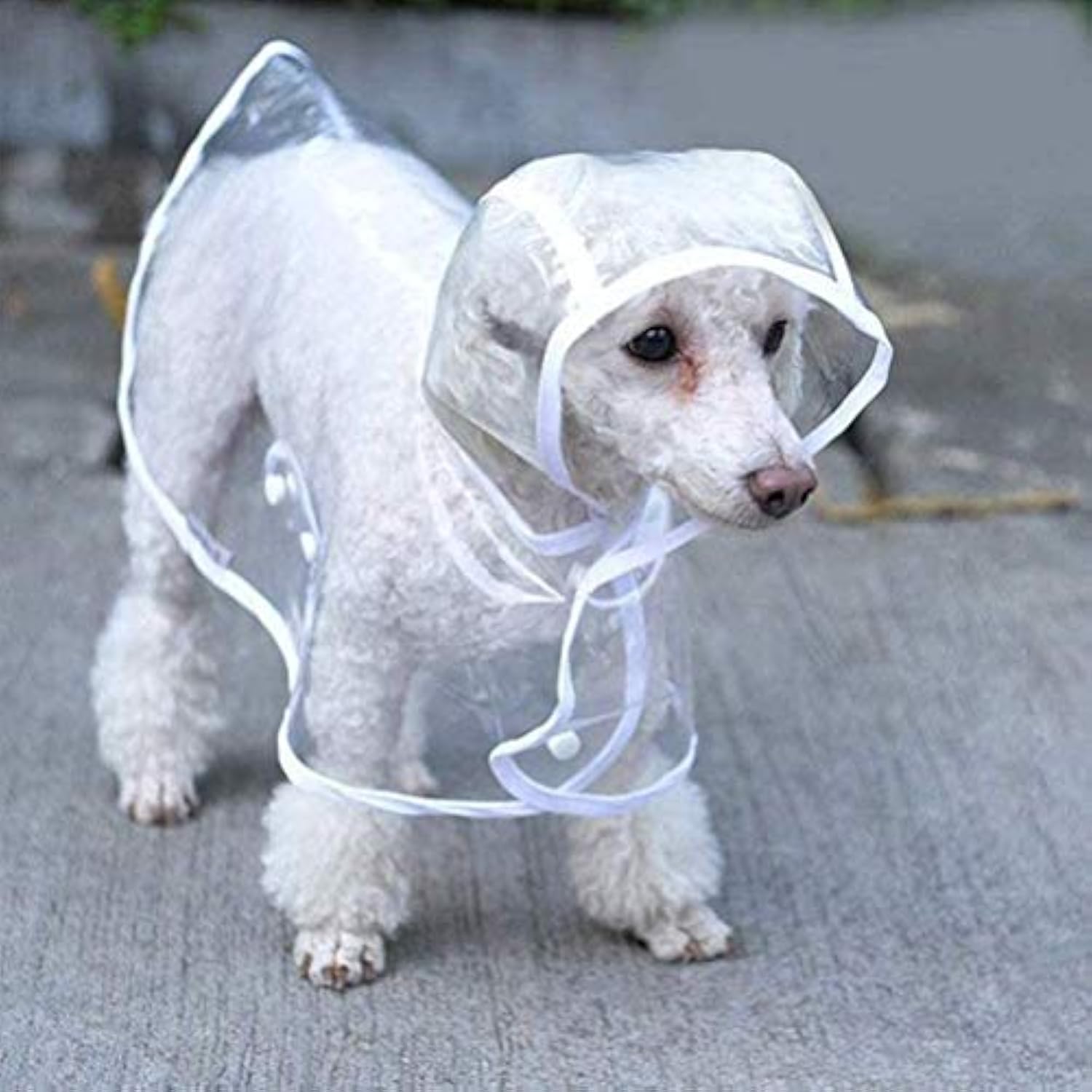 Clear Dog Raincoat with Hood — Lightweight Waterproof Jacket for Small & Medium Dogs