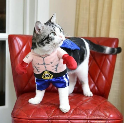 Boxer Cat Costume | Funny Pet Boxing Outfit for Cats | Sizes S–XL