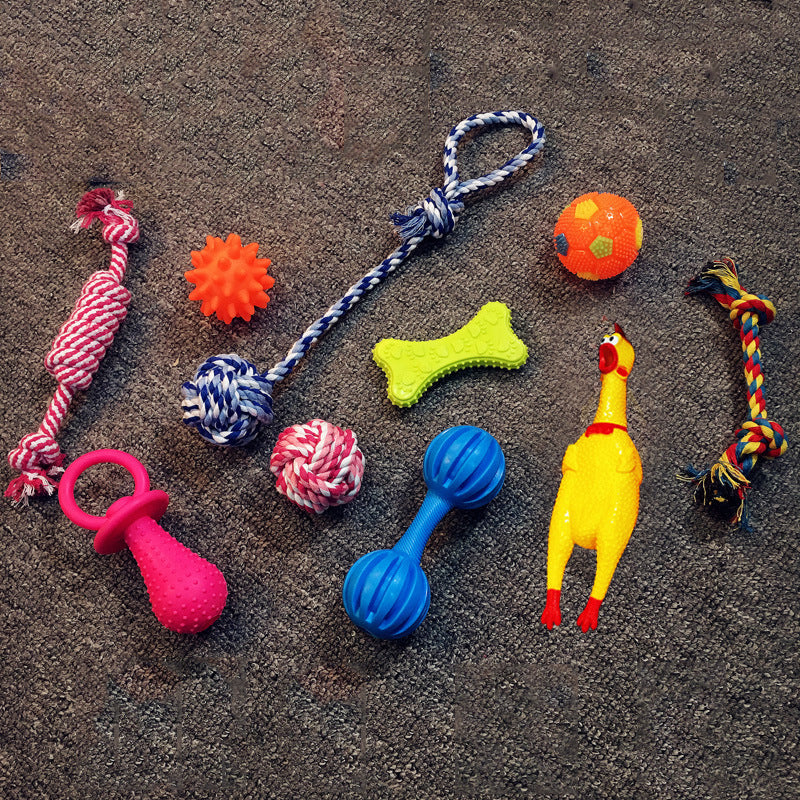 Dog Toy Bundle Set — Squeaky, Chew & Rope Toys for Dogs (8–10 Pieces)