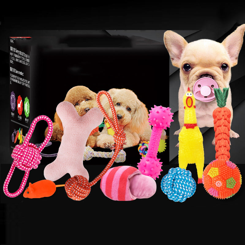 Dog Toy Bundle Set — Squeaky, Chew & Rope Toys for Dogs (8–10 Pieces)