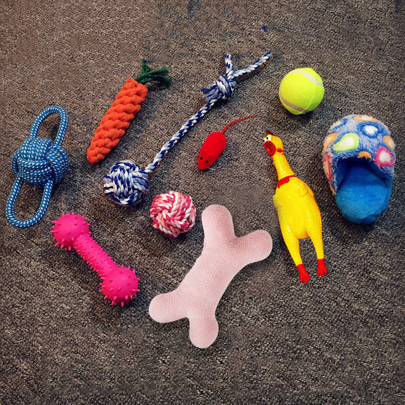 Dog Toy Bundle Set — Squeaky, Chew & Rope Toys for Dogs (8–10 Pieces)