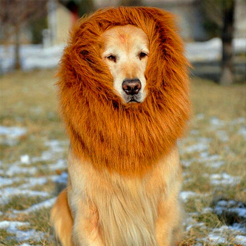 Lion Mane Wig for Large Dogs — Halloween & Costume Party Pet Headpiece