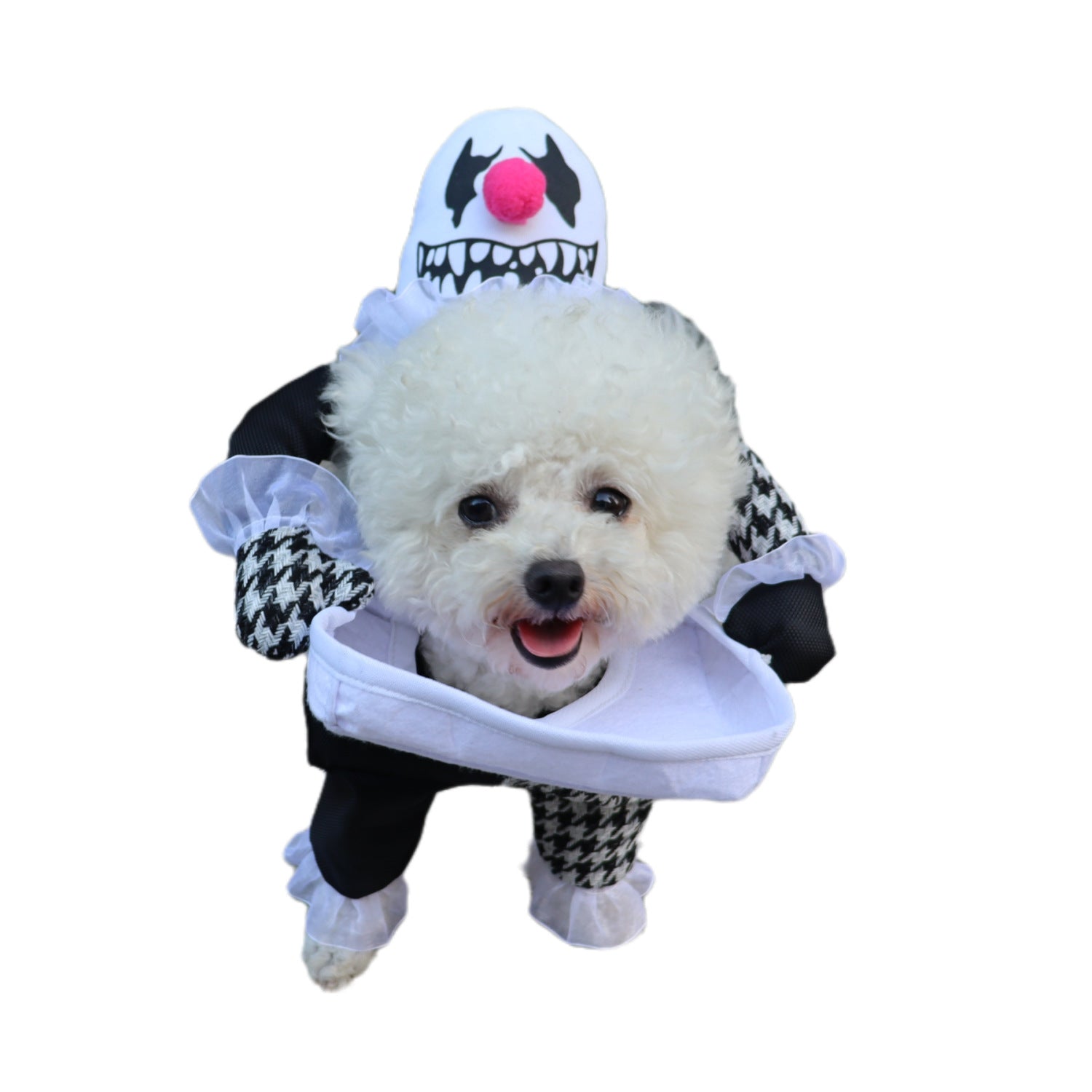 Demon Transformation Halloween Costume for Dogs