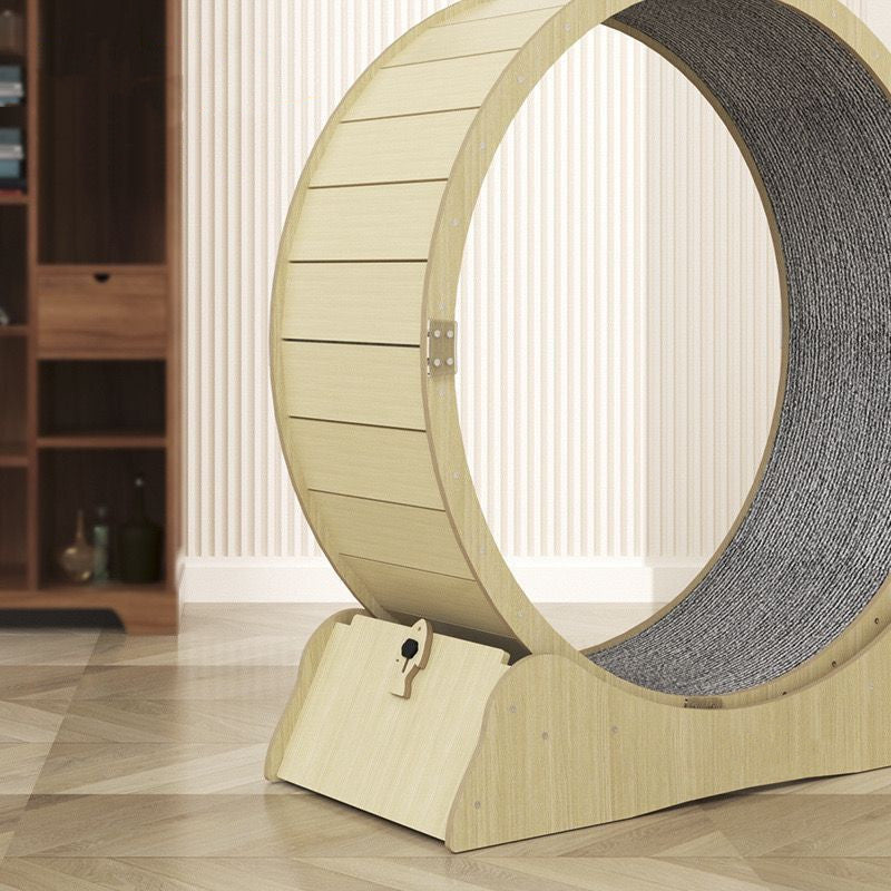 Silent Cat Exercise Wheel | Eco-Friendly Running Treadmill for Cats – S, M, L, XL