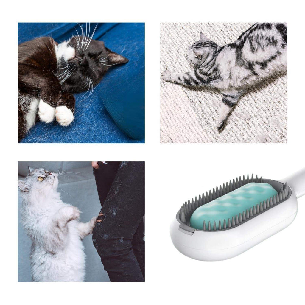 4-in-1 Cat Grooming Brush with Water Tank | Wet Brush & Double-Sided Hair Removal Comb