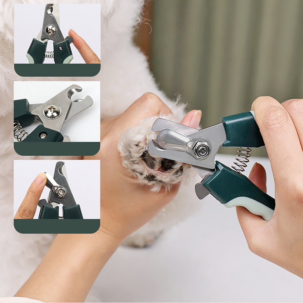 8-in-1 Professional Pet Grooming Kit | Cordless Clippers, Brush & Nail Clipper for Dogs & Cats