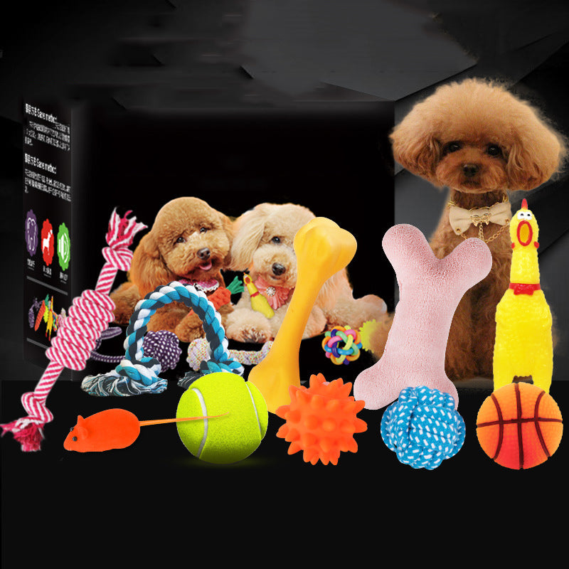 Dog Toy Bundle Set — Squeaky, Chew & Rope Toys for Dogs (8–10 Pieces)