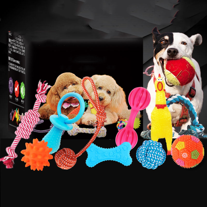 Dog Toy Bundle Set — Squeaky, Chew & Rope Toys for Dogs (8–10 Pieces)
