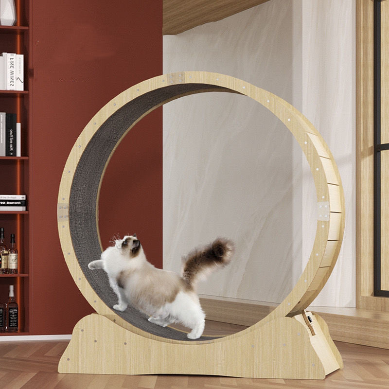 Silent Cat Exercise Wheel | Eco-Friendly Running Treadmill for Cats – S, M, L, XL