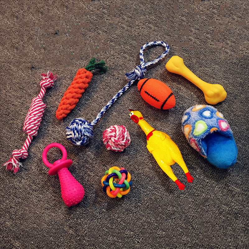 Dog Toy Bundle Set — Squeaky, Chew & Rope Toys for Dogs (8–10 Pieces)