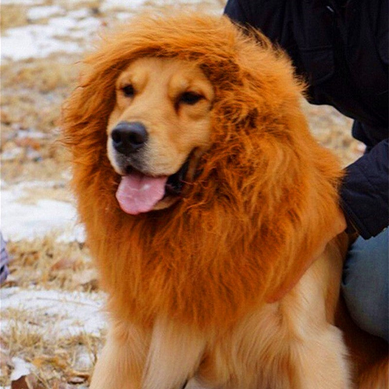 Lion Mane Wig for Large Dogs — Halloween & Costume Party Pet Headpiece