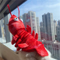 Lobster Costume for Cats & Small Dogs – Halloween & Holiday