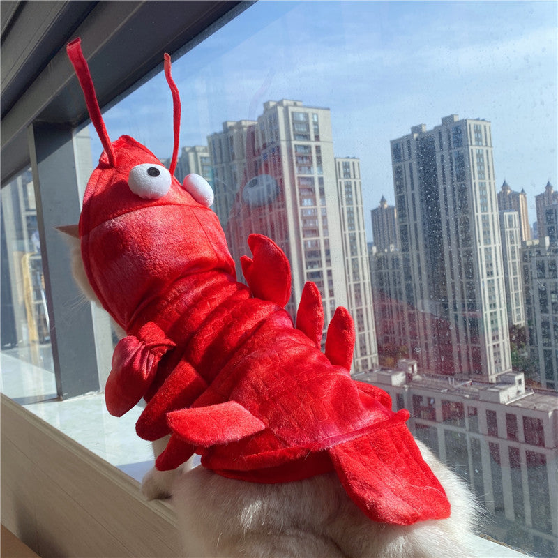 Lobster Costume for Cats & Small Dogs – Halloween & Holiday
