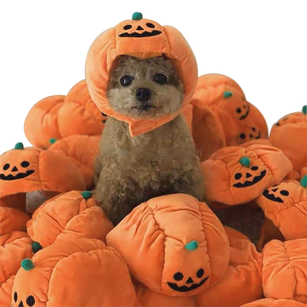 Halloween Pumpkin Hat for Dogs & Cats