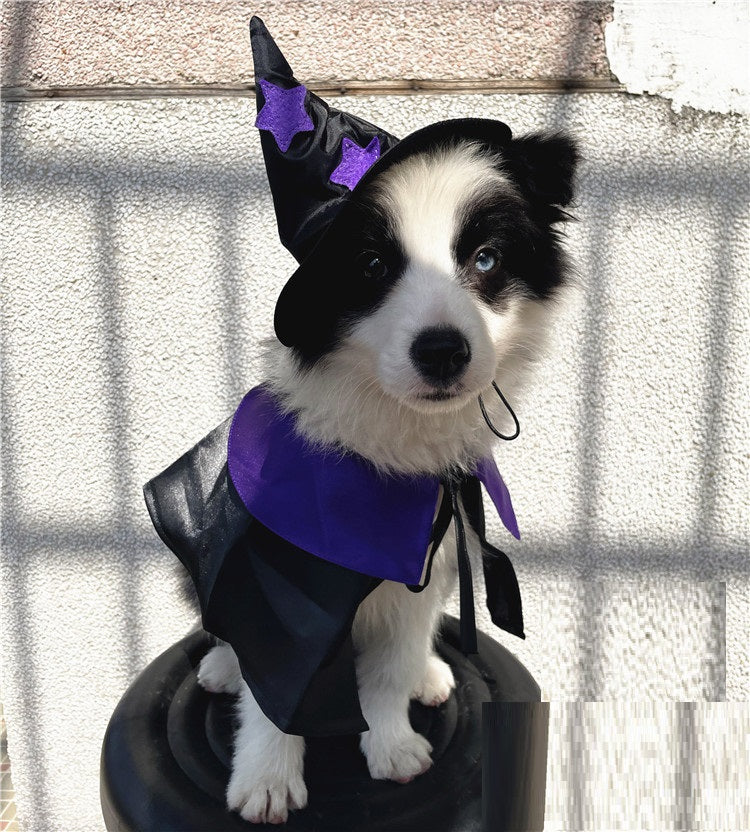Pet Halloween Wizard Costume | Satin Cloak & Hat Set for Cats & Dogs