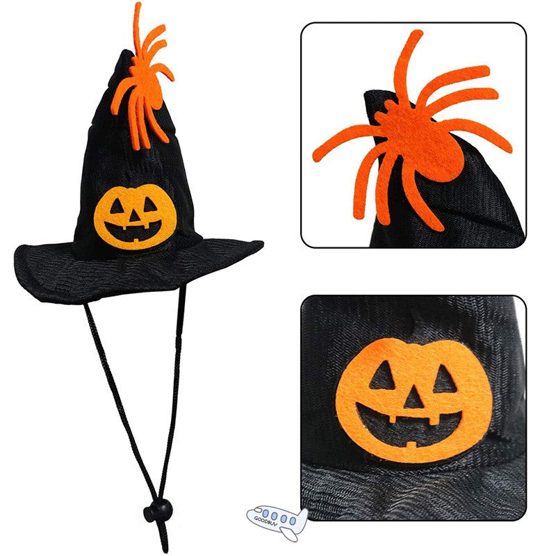 Halloween Witch Hat & Pumpkin Collar Set for Cats & Dogs