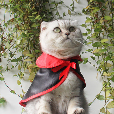 Halloween Vampire Cloak & Hat Set for Cats & Dogs