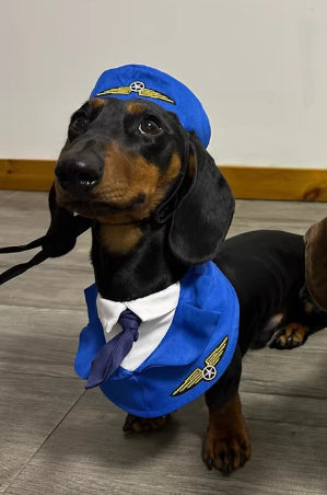 Dachshund Costume Suit | Captain & Pilot Uniform Set for Dogs