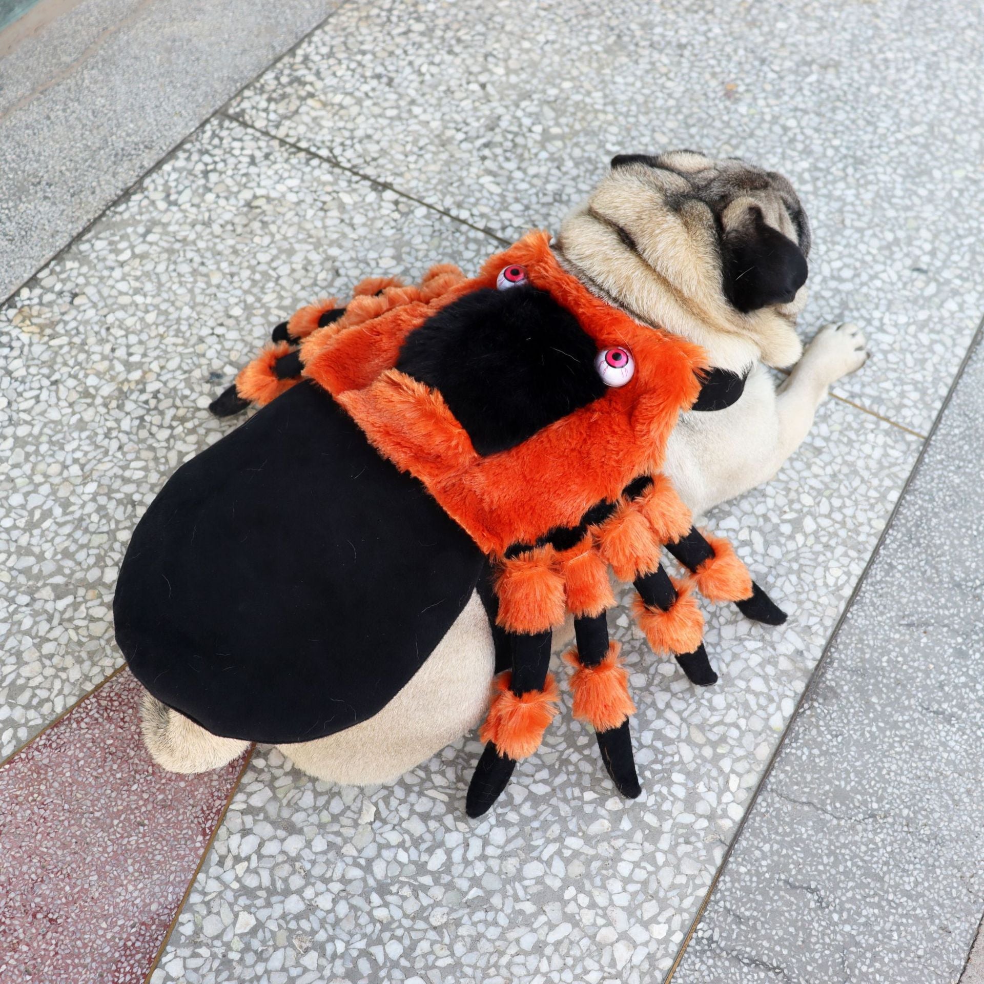 Halloween Spider Pet Costume | Spooky Polyester Outfit for Dogs & Cats | S–L