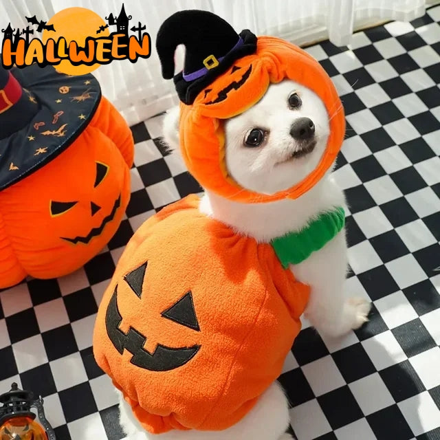 Halloween Pet Costume | Pumpkin Vest & Hat for Dogs & Cats | XS–L
