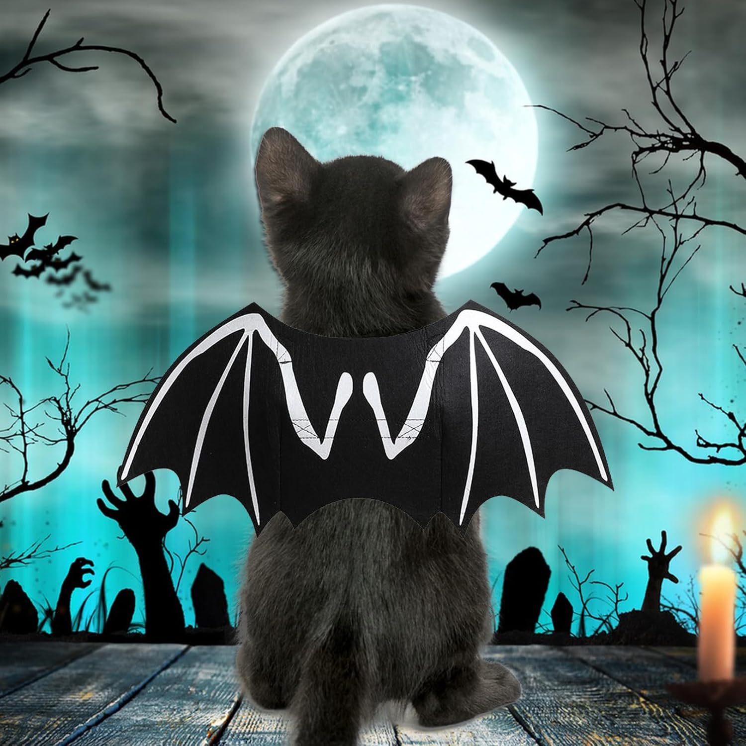 Luminous Bat Wing Dog Halloween Costume | Glow-in-the-Dark Skeleton Design