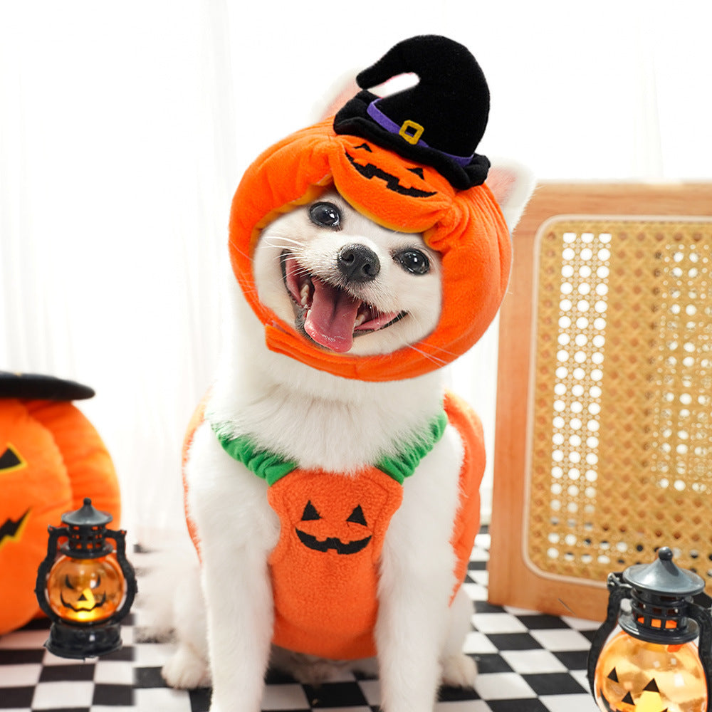 Halloween Pet Costume | Pumpkin Vest & Hat for Dogs & Cats | XS–L