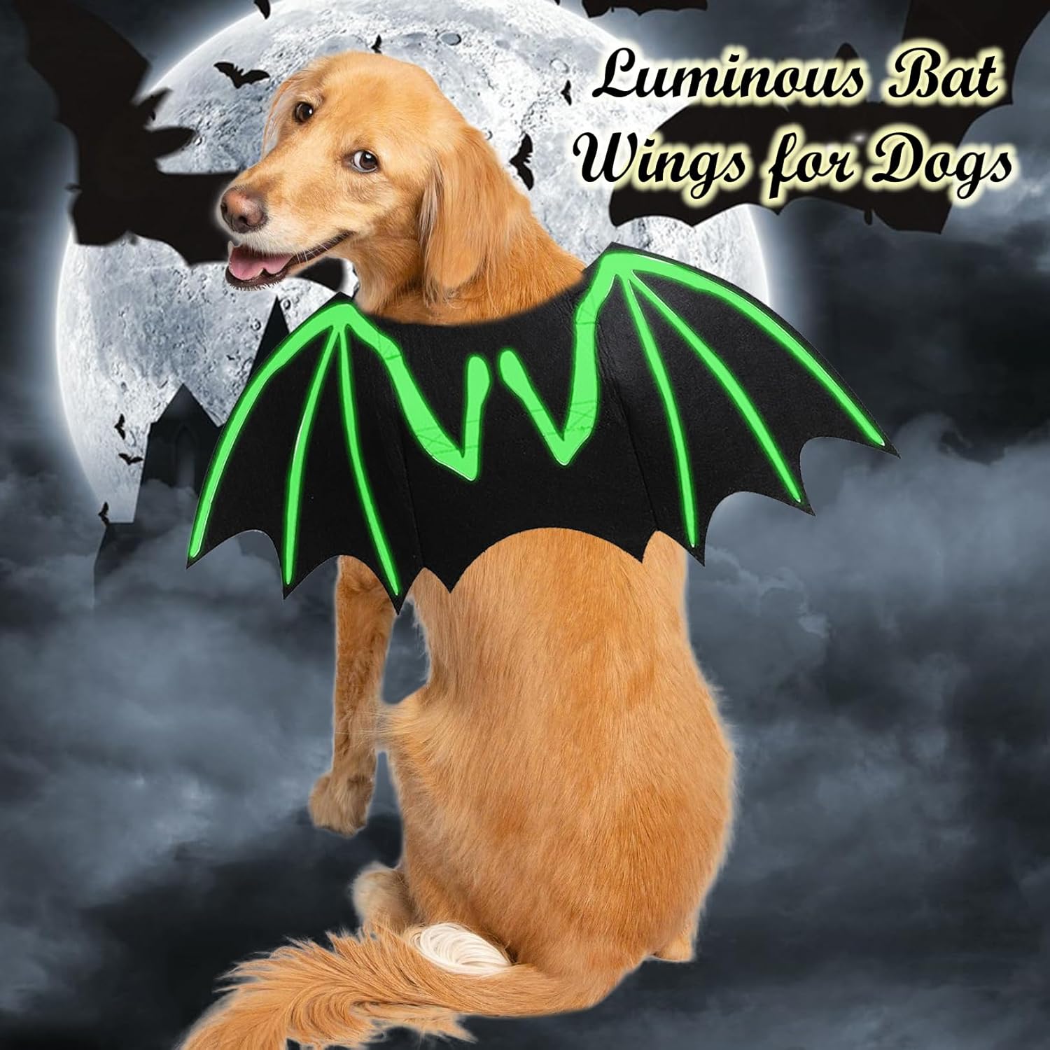 Luminous Bat Wing Dog Halloween Costume | Glow-in-the-Dark Skeleton Design