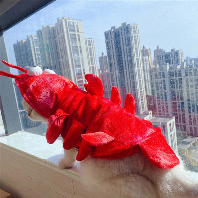 Lobster Costume for Cats & Small Dogs – Halloween & Holiday