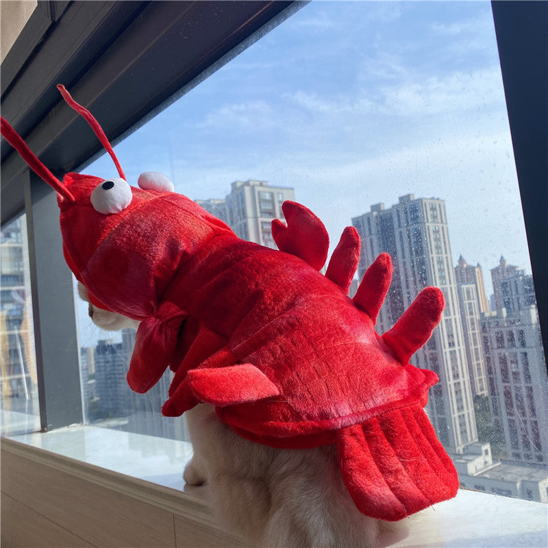 Lobster Costume for Cats & Small Dogs – Halloween & Holiday