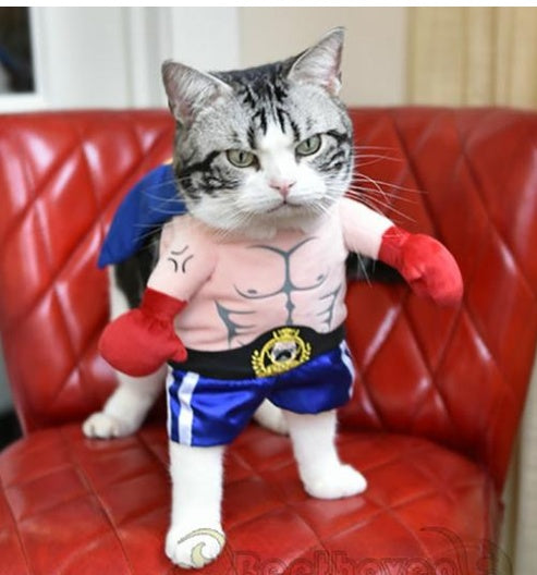 Boxer Cat Costume | Funny Pet Boxing Outfit for Cats | Sizes S–XL