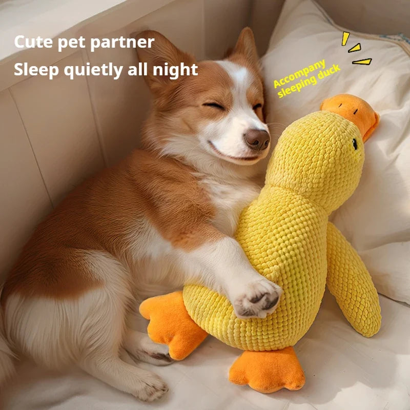 Plush Squeaky Duck Dog Toy | Calming Chew Toy & Teeth Cleaner for Puppies & Dogs