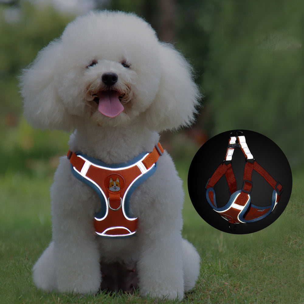 No-Pull Dog Harness & Leash Set | Reflective, Adjustable Vest for Small Dogs | S–XL