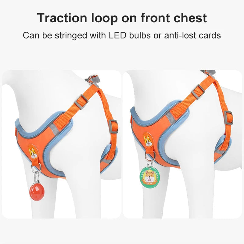 No-Pull Dog Harness & Leash Set | Reflective, Adjustable Vest for Small Dogs | S–XL