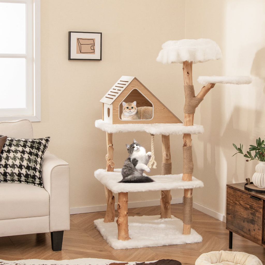 60" Solid Wood Cat Tree | Modern 5-Tier Cat Tower with 2 Perches, Condo & Scratching Posts