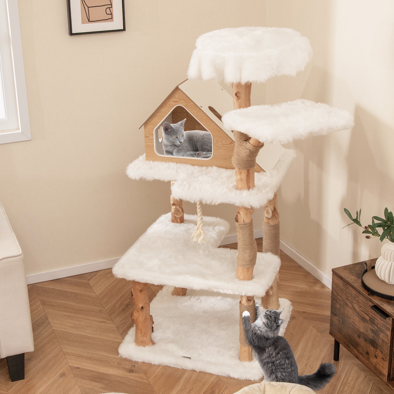 60" Solid Wood Cat Tree | Modern 5-Tier Cat Tower with 2 Perches, Condo & Scratching Posts