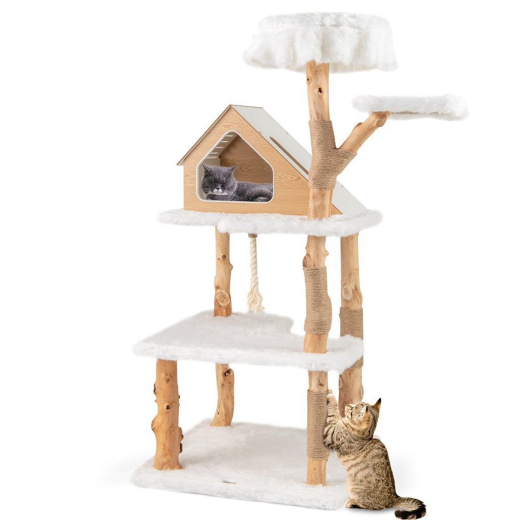 60" Solid Wood Cat Tree | Modern 5-Tier Cat Tower with 2 Perches, Condo & Scratching Posts