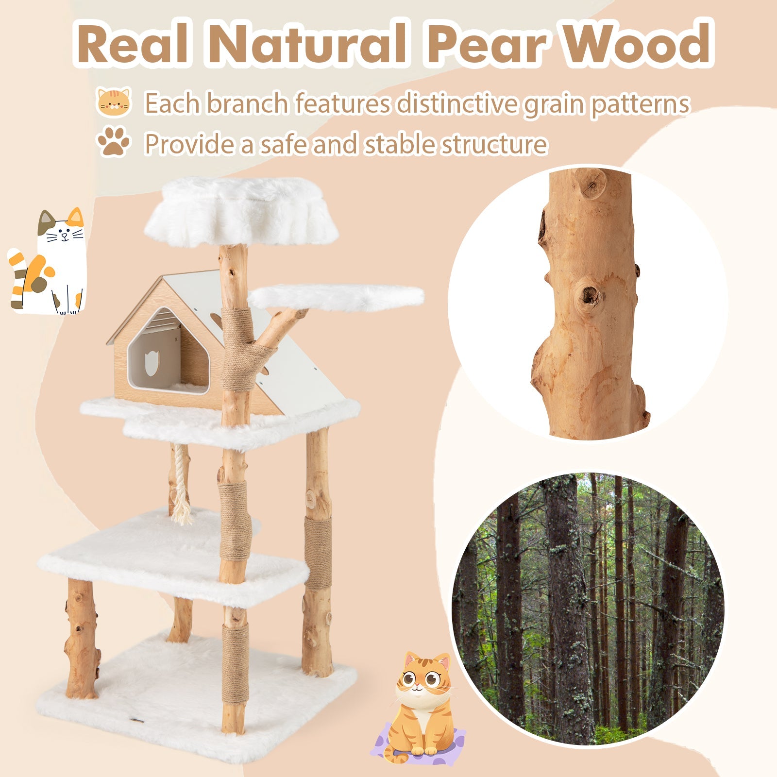 60" Solid Wood Cat Tree | Modern 5-Tier Cat Tower with 2 Perches, Condo & Scratching Posts