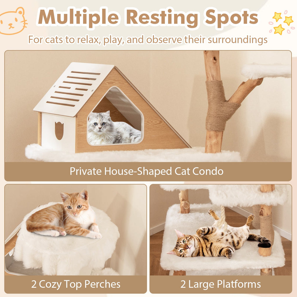 60" Solid Wood Cat Tree | Modern 5-Tier Cat Tower with 2 Perches, Condo & Scratching Posts