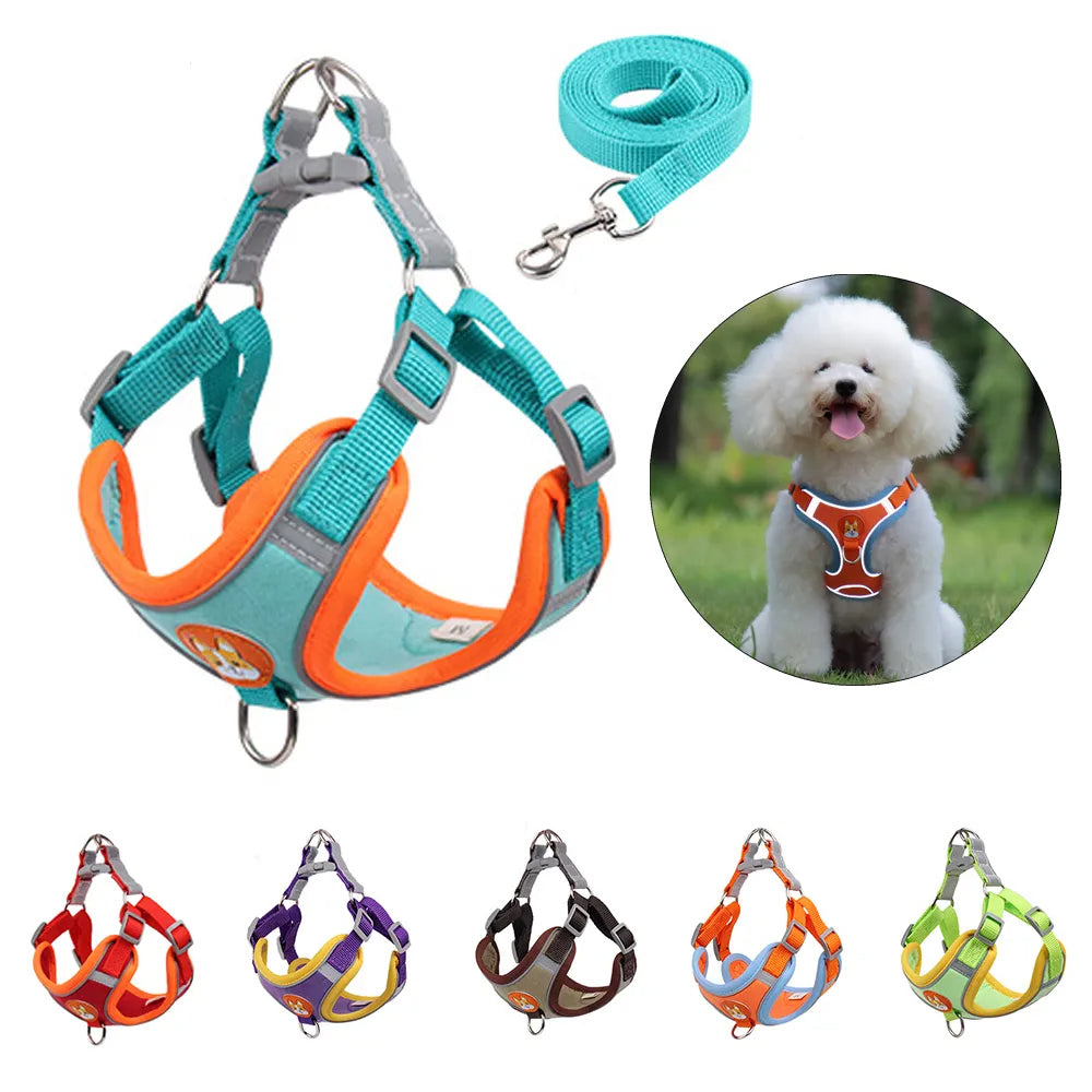 No-Pull Dog Harness & Leash Set | Reflective, Adjustable Vest for Small Dogs | S–XL