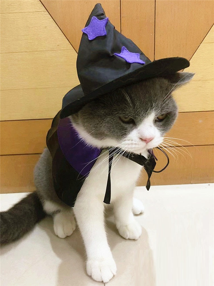 Pet Halloween Wizard Costume | Satin Cloak & Hat Set for Cats & Dogs