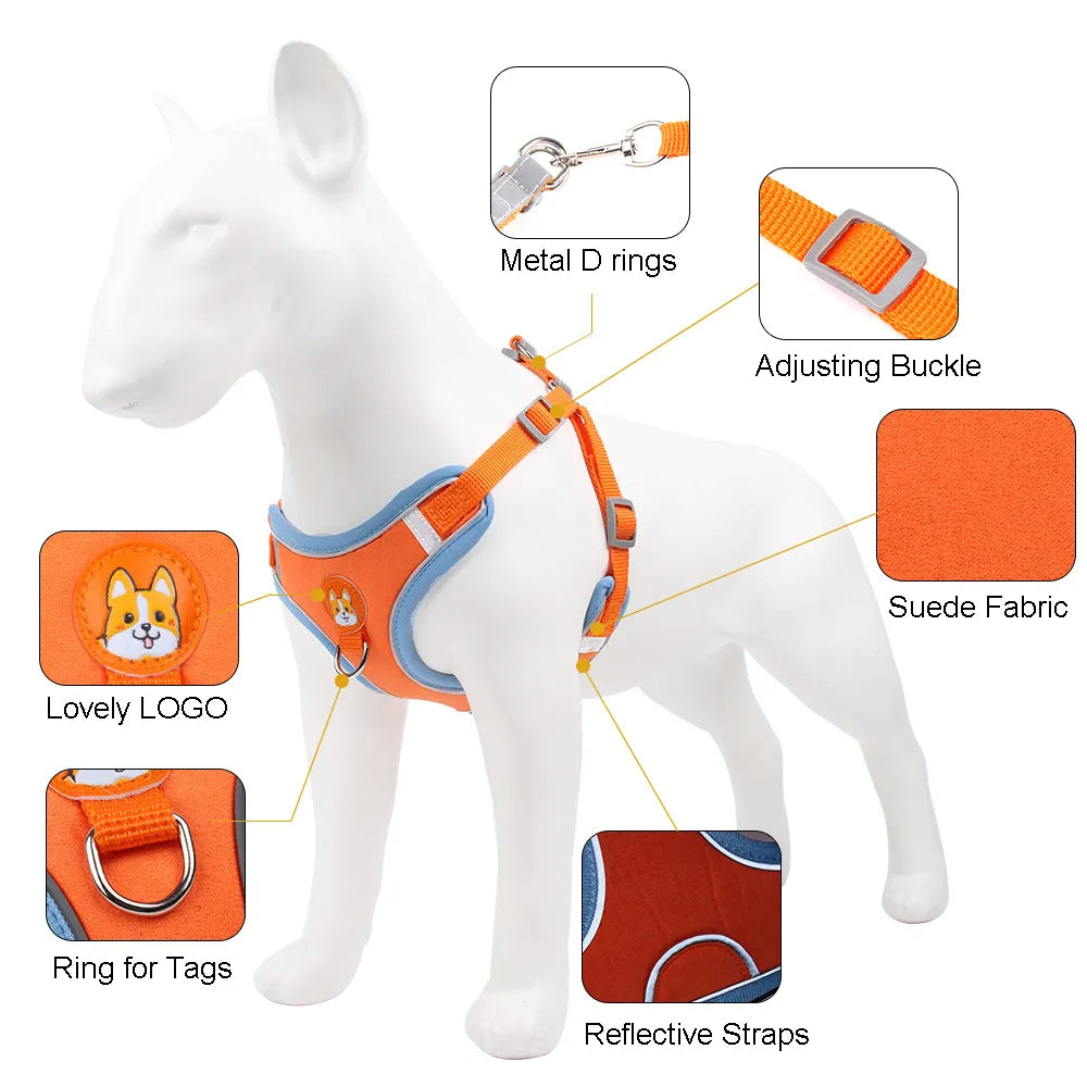 No-Pull Dog Harness & Leash Set | Reflective, Adjustable Vest for Small Dogs | S–XL