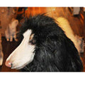 Lion Mane Wig for Large Dogs — Halloween & Costume Party Pet Headpiece