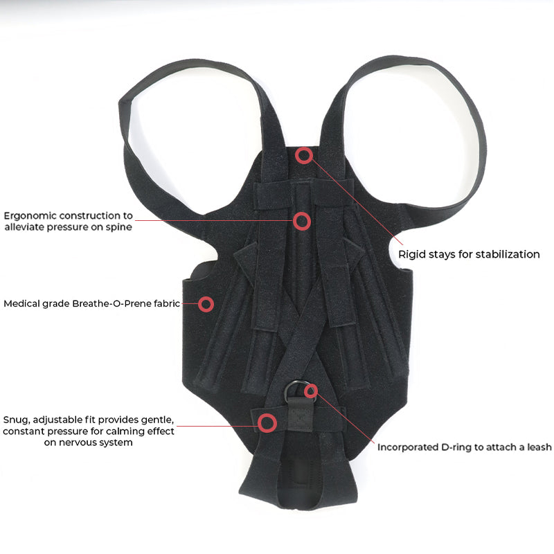 Dog Back Brace | IVDD, Arthritis & Back Pain Support Harness for Dogs | Spinal Recovery | S–L