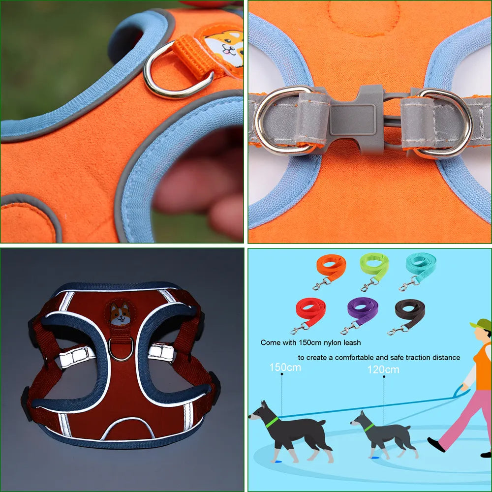No-Pull Dog Harness & Leash Set | Reflective, Adjustable Vest for Small Dogs | S–XL