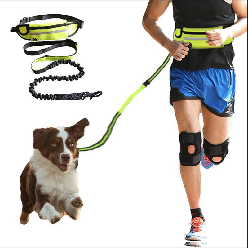Hands-Free Dog Leash Belt | Bungee Waist Leash with Phone Pocket & Water Bottle Holder