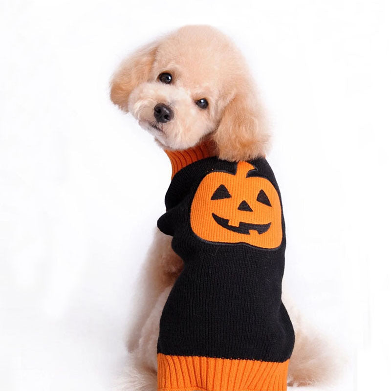 Halloween Pumpkin Knit Sweater for Dogs