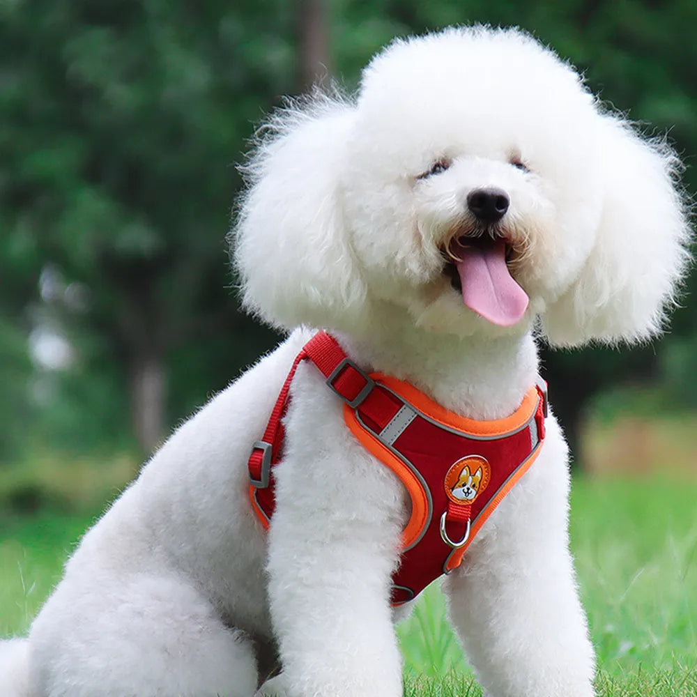 No-Pull Dog Harness & Leash Set | Reflective, Adjustable Vest for Small Dogs | S–XL