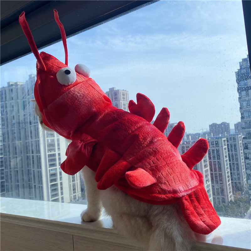 Lobster Costume for Cats & Small Dogs – Halloween & Holiday